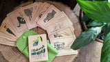 Mesiműhely: IllaBerek Erdőjáró Kártya